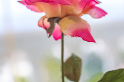 gorgeous-villa-for-sale-torreblanca-fuengirola-043-casa-leonardo-043