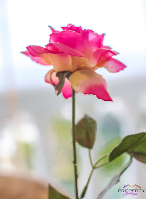 gorgeous-villa-for-sale-torreblanca-fuengirola-043-casa-leonardo-043