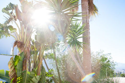 large-plot-for-sale-with-3-properties-mijas-187-IMG_1788