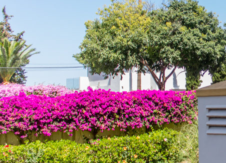 puerto-banus-apartment- nueca-andalucia-036-_MG_9606
