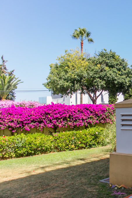 puerto-banus-apartment- nueca-andalucia-036-_MG_9606