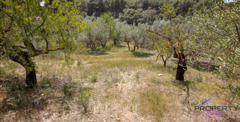 LARGE PLOT OF LAND FOR SALE   (Private Valley – Monda)