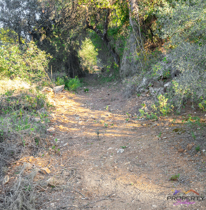 monda-land-026-monda-land-025-IMG_5932