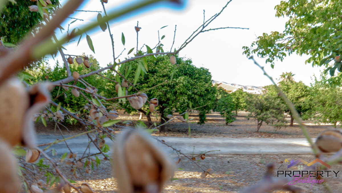 lazystay-039-IMG_3024